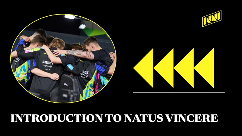 Introduction to Natus Vincere